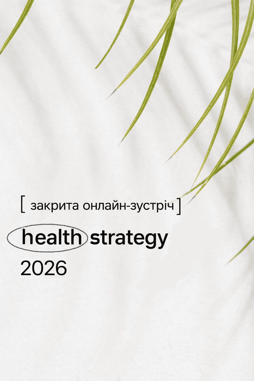Health Strategy 2026 – закрита онлайн зустріч